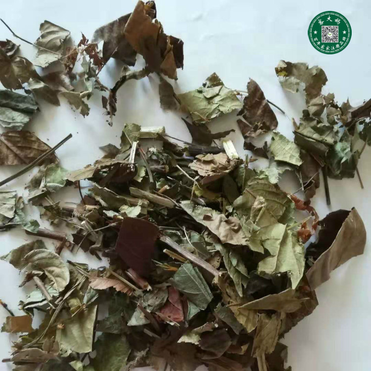 野生无硫 葫芦茶 咸鱼草 百劳舌 500g 新货 真货包邮