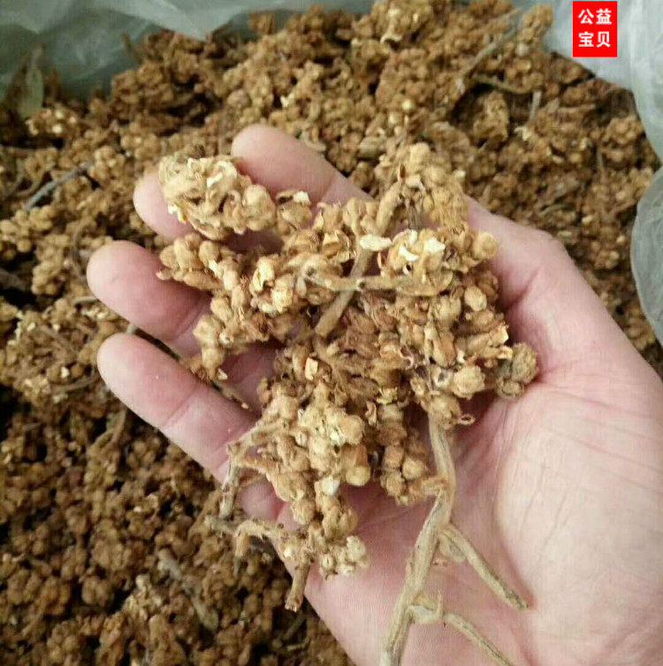 农家无硫 枇杷花蕾茶 枇杷花茶 枇杷花 500g 包邮新货
