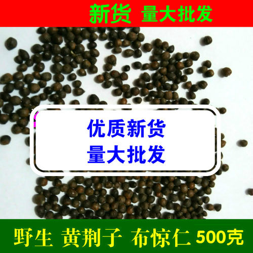 真货布惊仁布惊仁布惊籽仁定做布惊子仁枕头 黄荆籽500g 新货