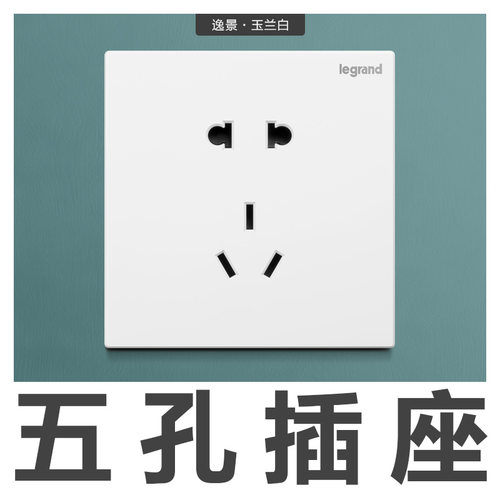 罗格朗10A86型二三插正斜五孔