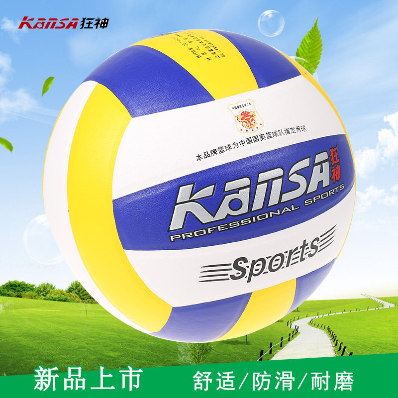 Ballon de volley-ball - Ref 2010551 Image 3