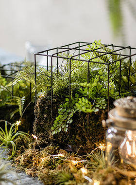 掬涵铁艺鸟笼花艺花器陈列摆件挂饰仿真植物微景观蕨叶绿植装饰品