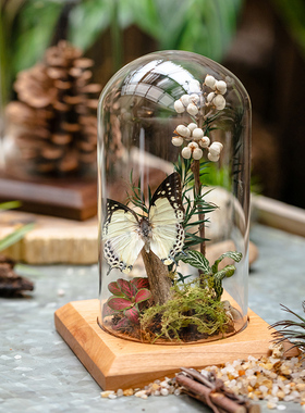 掬涵玻璃罩微景标本玻璃罩