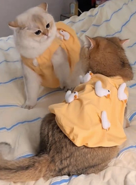 猫咪衣服春夏季薄款防掉毛金渐层蓝猫橘猫布偶幼猫宠物连衣裙可爱