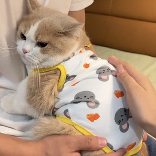 小型犬狗狗背心 猫咪秋天衣服金渐层蓝猫布偶德文幼猫公猫2024新款
