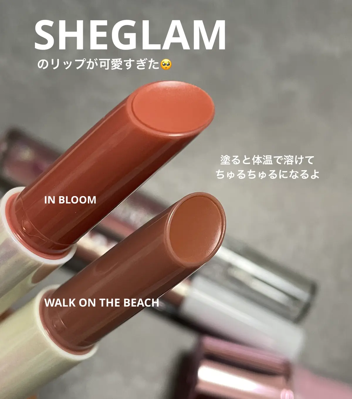 小众！Sheglam固体唇蜜唇釉滋润