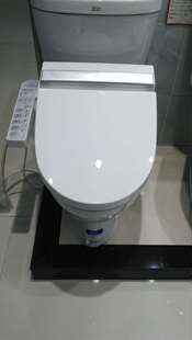 TOTO洁具卫浴坐便器盖板智能卫洗丽冲洗便盖TCF6451CS经典款