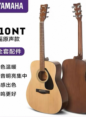 雅马哈F310/FS100C