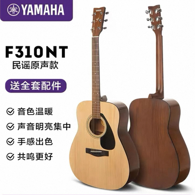 雅马哈F310/FS100C