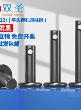 黑销轴GB882销钉T型平头带孔销定位销圆柱销Φ4Φ5Φ6Φ8Φ10Φ12