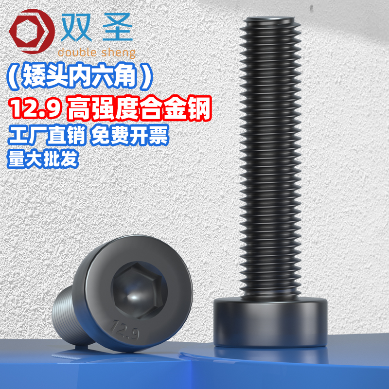 双圣内六角合金钢内六角螺丝