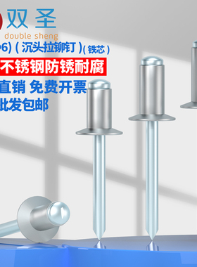 M3 M3.2 M4 M5 不锈钢304沉头抽芯铆钉 装潢钉平头拉钉铁芯拉铆钉