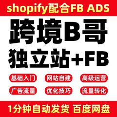 跨境B哥 SHOPIFY 独立站自建+F.B ADS SEO优化视频广告课程