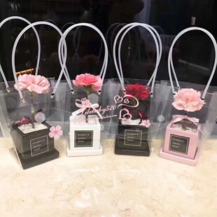 透明T形梯形鲜花花束手提袋 盆栽盆景礼品袋多用花袋 装花束袋子