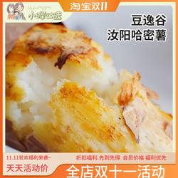 美国小晖豆逸谷汝阳冰糖哈密薯新鲜现挖营养软糯香甜红薯地瓜品发