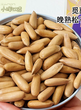 美国小晖觅菓晚熟松子