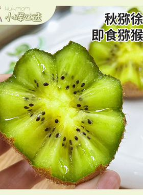 美国小晖秋猕徐香即食猕猴桃应季水果新鲜采摘10-16枚随机品发1