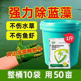 蓝藻分解精鱼虾蟹塘生物除藻剂蓝藻净水除绿水华蓝藻净分解酶非药