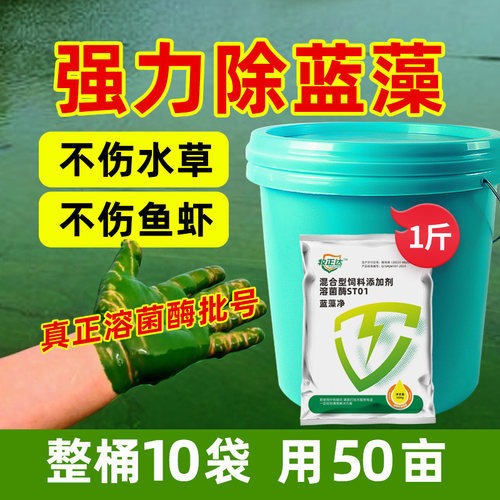 蓝藻分解精鱼虾蟹塘生物除藻剂蓝藻克星药净水除绿水蓝藻净分解酶