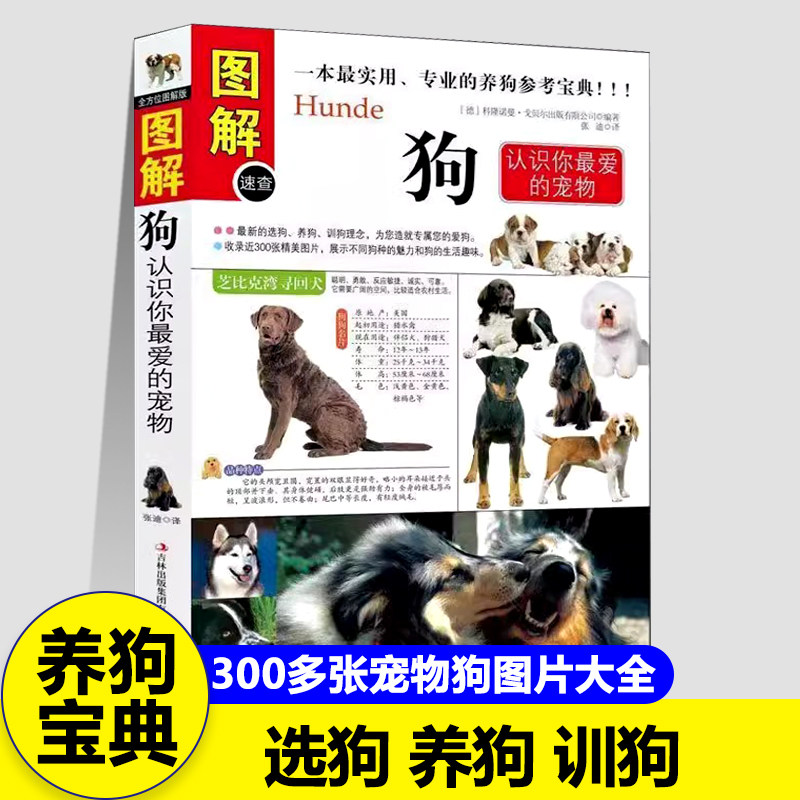 图解养犬训犬与犬病防治家庭养狗指南训狗一本通食物饲养健康家庭养犬大全宠物金毛柯基秋田牧羊犬阿拉斯加哈士奇比熊泰迪书籍