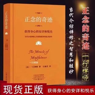 佛教禅宗诗人 一行禅师著 正版 舍得放下圣严法师南怀瑾信仰佛教 人生哲学心理学 是现代 代表作 中国哲学一行禅师 奇迹 正念