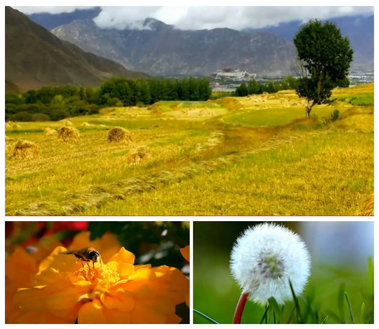 中华好家风 表演背景 动态视频 晚会led动态背景 晚会 舞台歌舞