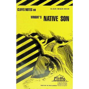 克利夫课堂笔记原版书NativeSon土生子英语文学研究指南深入解读理查德赖特经典小说包含作者生平人物分析关键情节和主题探讨适