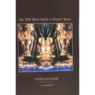 英语原版书小册子系列AnOldManSailsaPaperBoat诗歌绘本适合1114岁青少年阅读探讨老年自然和记忆主题彼得韦尔特纳诗集盖伦加伍