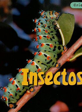 西班牙语原版书幼崽系列昆虫绘本科普书Insectos罗德西奥多鲁著乔安娜欣顿马利沃尔绘制通过生动图片和清晰文字介绍昆虫成长过
