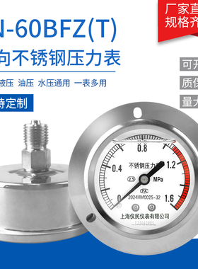 轴向不锈钢压力表 YN60BF-ZT 轴向带边耐震压力表  液压表 面板式