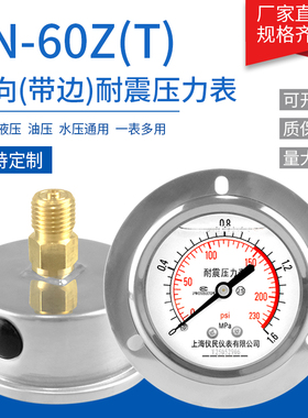 YN60-Z YN60-ZT 耐震压力表 轴向 轴向带边 抗震充油 上海仪民