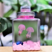 水母活物宠物家养小水母发光水母桌面学生儿童无毒好养小动物包活