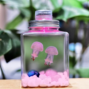 水母活物宠物家养小水母发光水母桌面学生儿童无毒好养小动物包活