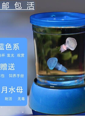 水母活物家养无毒小水母宝宝学生宿舍六一儿童小孩稀罕懒人小宠物