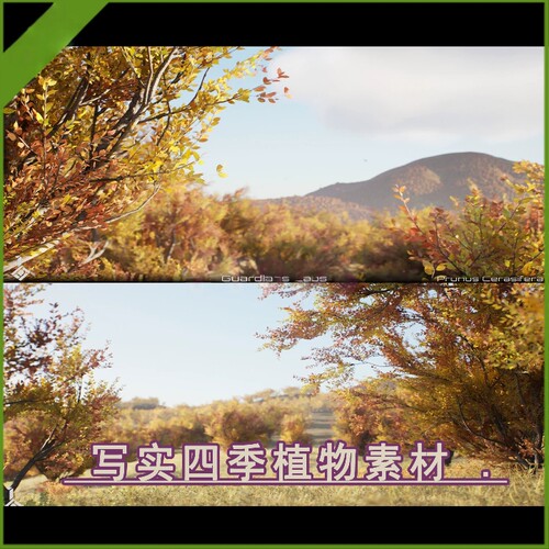 虚幻5ue5.1-5.8+ 影视写实樱花樱桃树四季树木草风力模拟植物模型