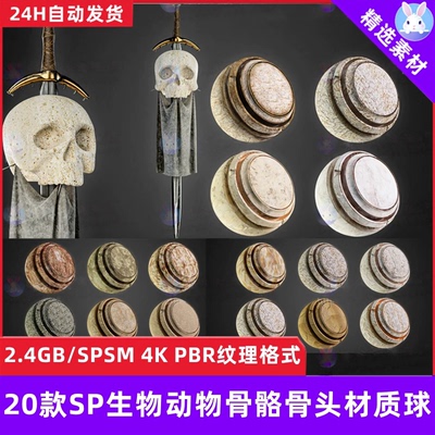 Substance Painter生物动物骨骼骨头材质球划痕裂纹骨头sp材质球