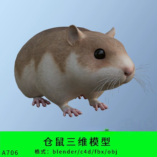 仓鼠三维模型3d素材blender/c4d/fbx/obj老鼠土拨鼠写实