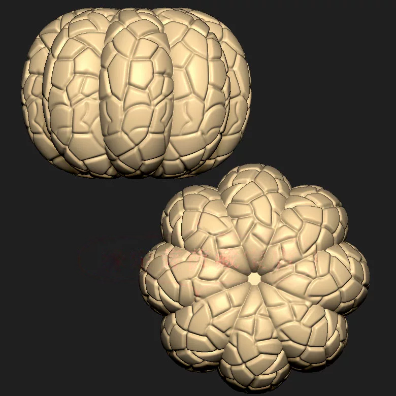 橘子肉水果三维立体图圆雕图STL文件雕刻机3D模型639