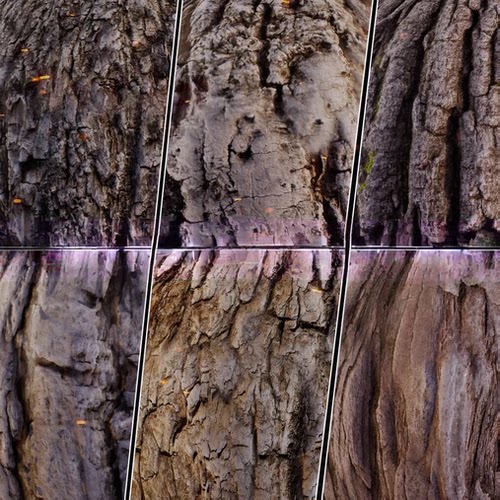 【61】树皮纹理 PBR texture连续四方4K纹理贴图