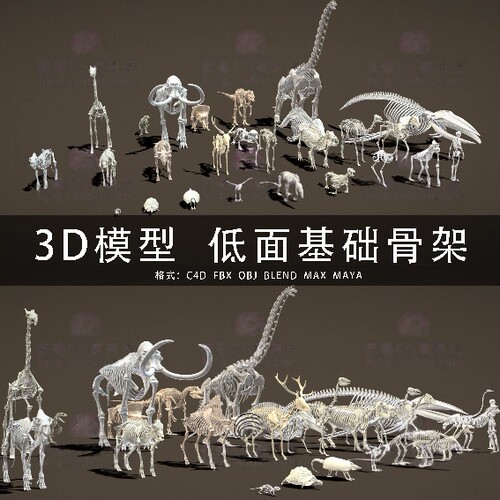 H975-C4D/MAYA/3DMAX三维 低面骷髅动物骨架恐龙猛犸 3D模型素材