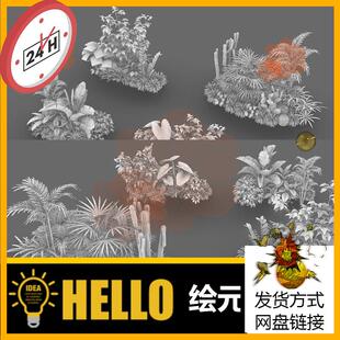 4款花草树丛绿植物堆仙人掌场景犀牛rhino/C4D/3Dmax/maya模型obj