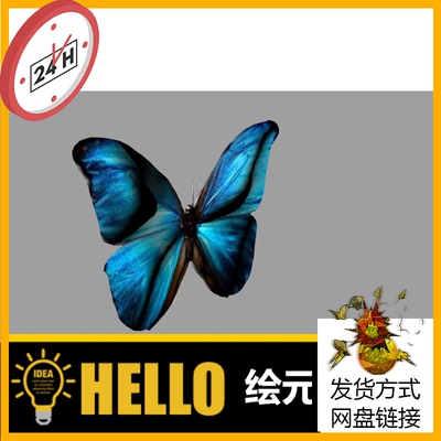 蝴蝶 昆虫 动物 犀牛建模rhino/C4D/3Dmax/maya模型obj fbx