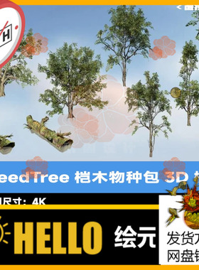 SpeedTree桤树物种包3D模型植物软件树木工程LowPoly游戏版本UE
