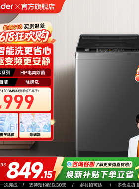 直驱变频海尔出品统帅波轮洗衣机12kg家用全自动大容量533