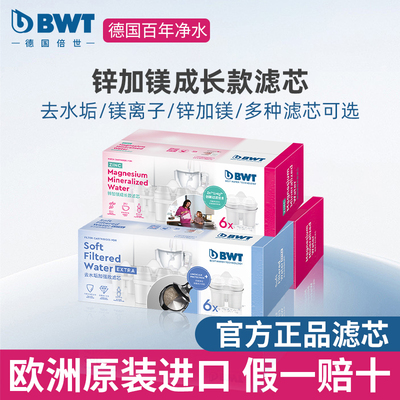 德国滤芯6进口镁离子通用净水器