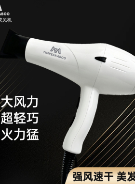 蒂姆3.3米2200W大风力吹风机