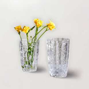 富贵竹玫瑰水晶花瓶玻璃杯冰川客厅餐桌高级感装饰品水养鲜花容器