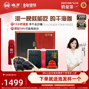 晓芹干海参礼盒12小时干海参免煮100克辽刺参大连海刺参干货