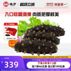 晓芹 即食海参 500g 大连辽刺参 海参 海鲜 开袋即食 单个装