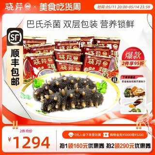 晓芹海参 大连晓芹即食海参 冷冻即食海鲜1750克 50只